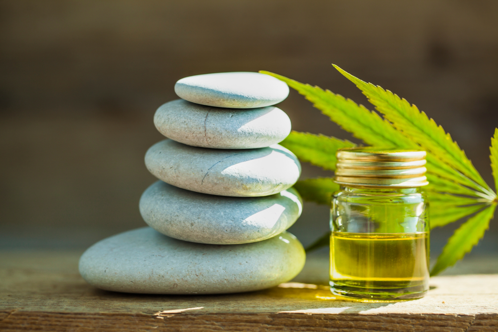 cannabis regulations in nz