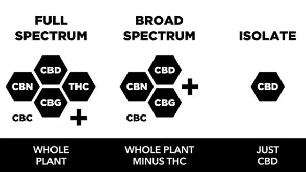 Full Spectrum CBD Oil