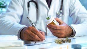 Medical Marijuana NZ