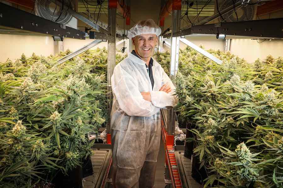 CEO of Eqalis based in the Bay of Plenty