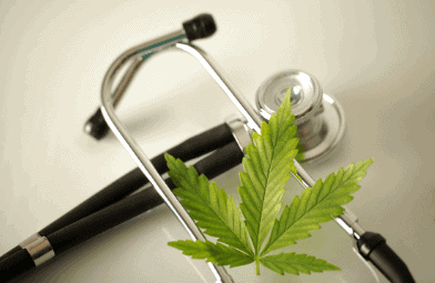 cbd oil prescription nz