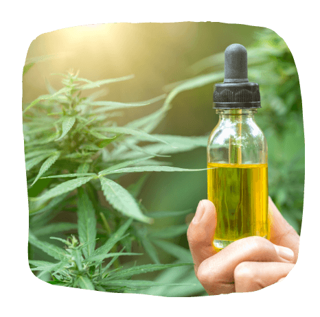 Hemp oil benefits for pain