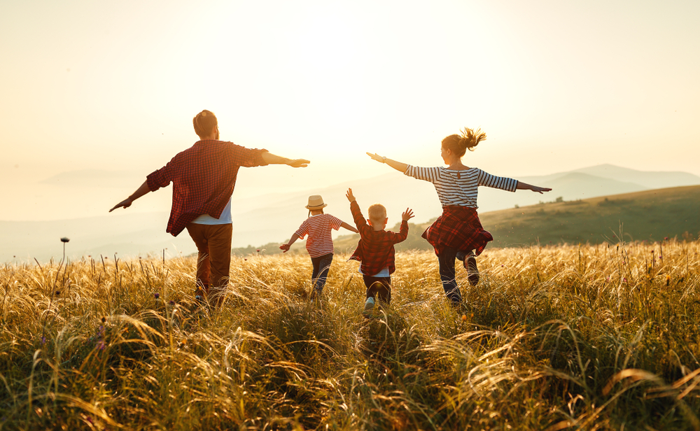 cbd oil for kids