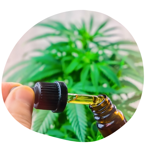cannabis drip