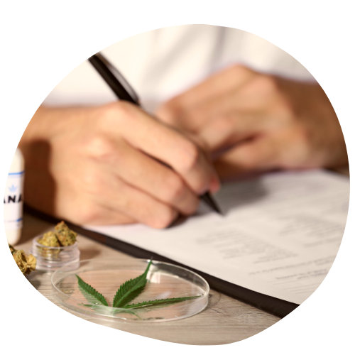 endocannabinoid medicinal cannabis