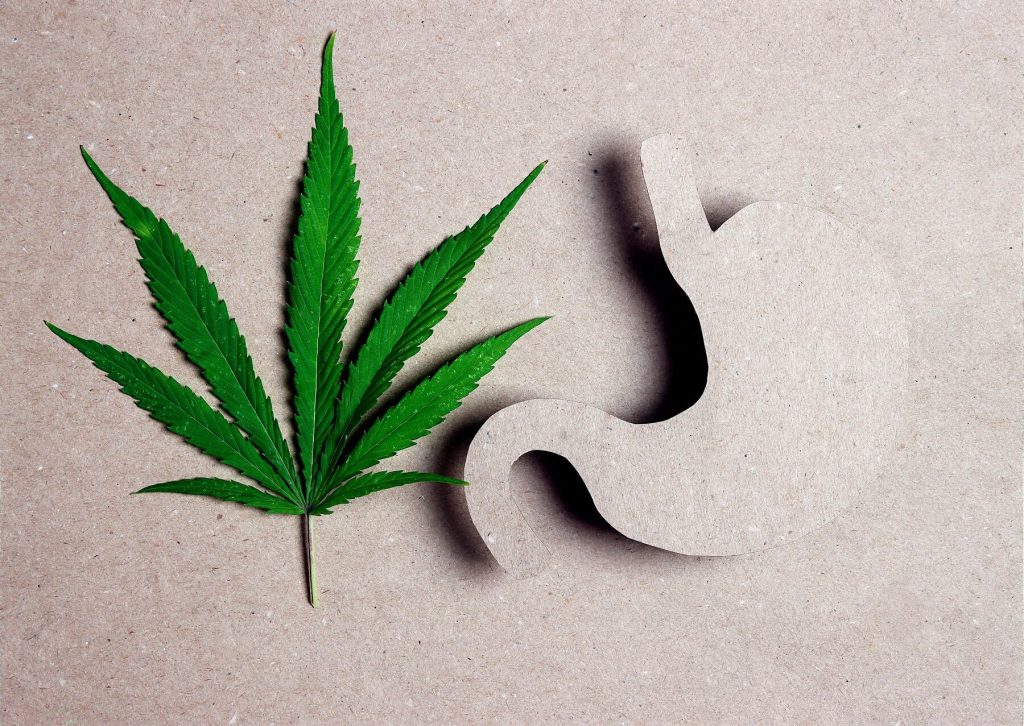 CBD Oil for Treating Digestive Issues.