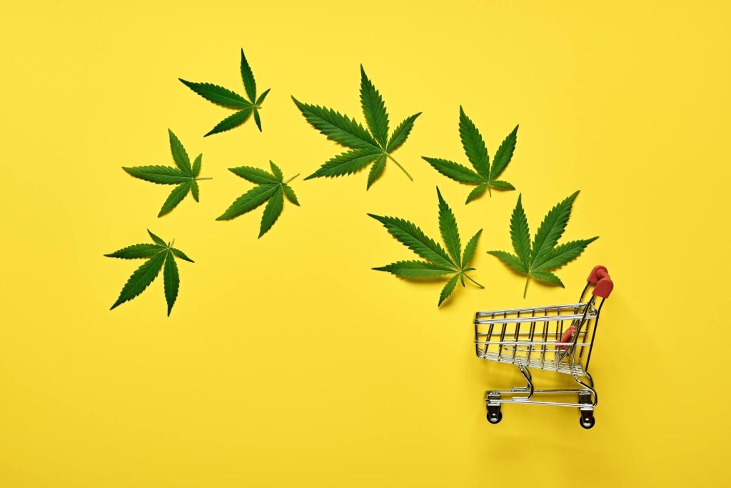 Where to Buy CBD Oil in NZ – Your Ultimate Guide