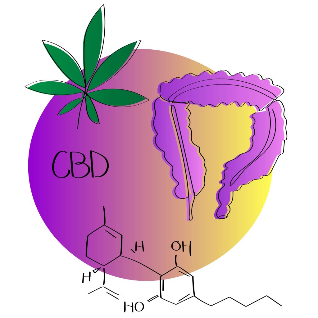 Can CBD Oil Help Irritable Bowel Syndrome?