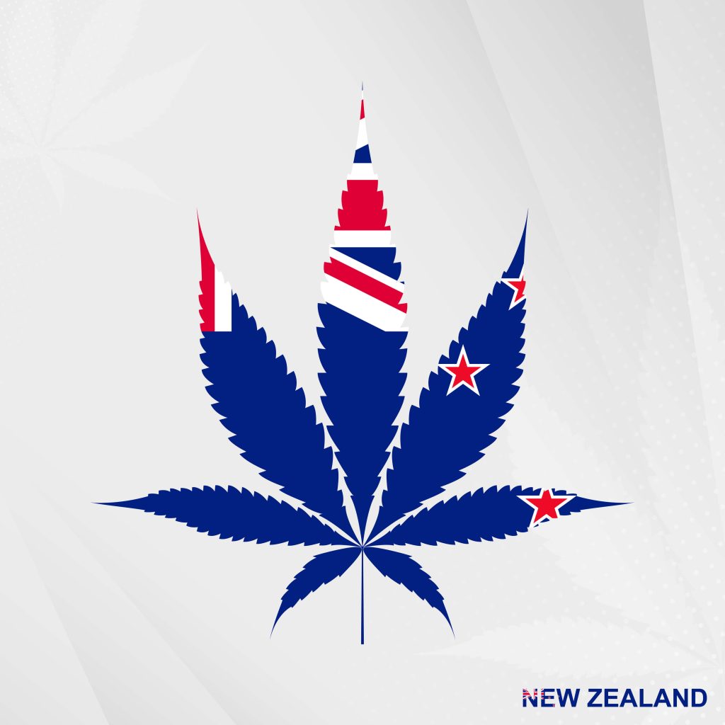 Is CBD Oil Legal in NZ