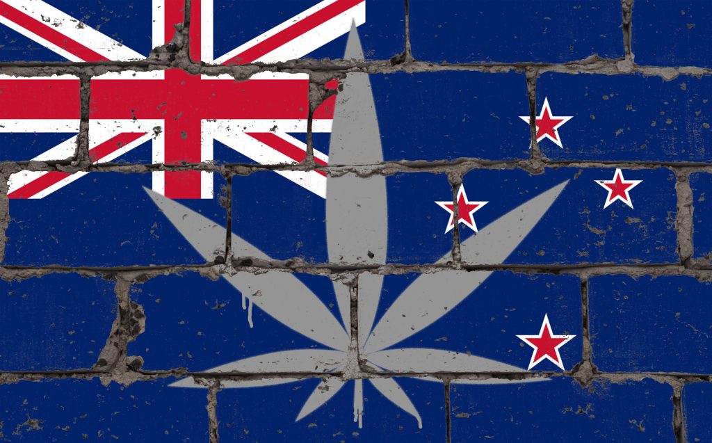 Medicinal Cannabis in New Zealand in 2021