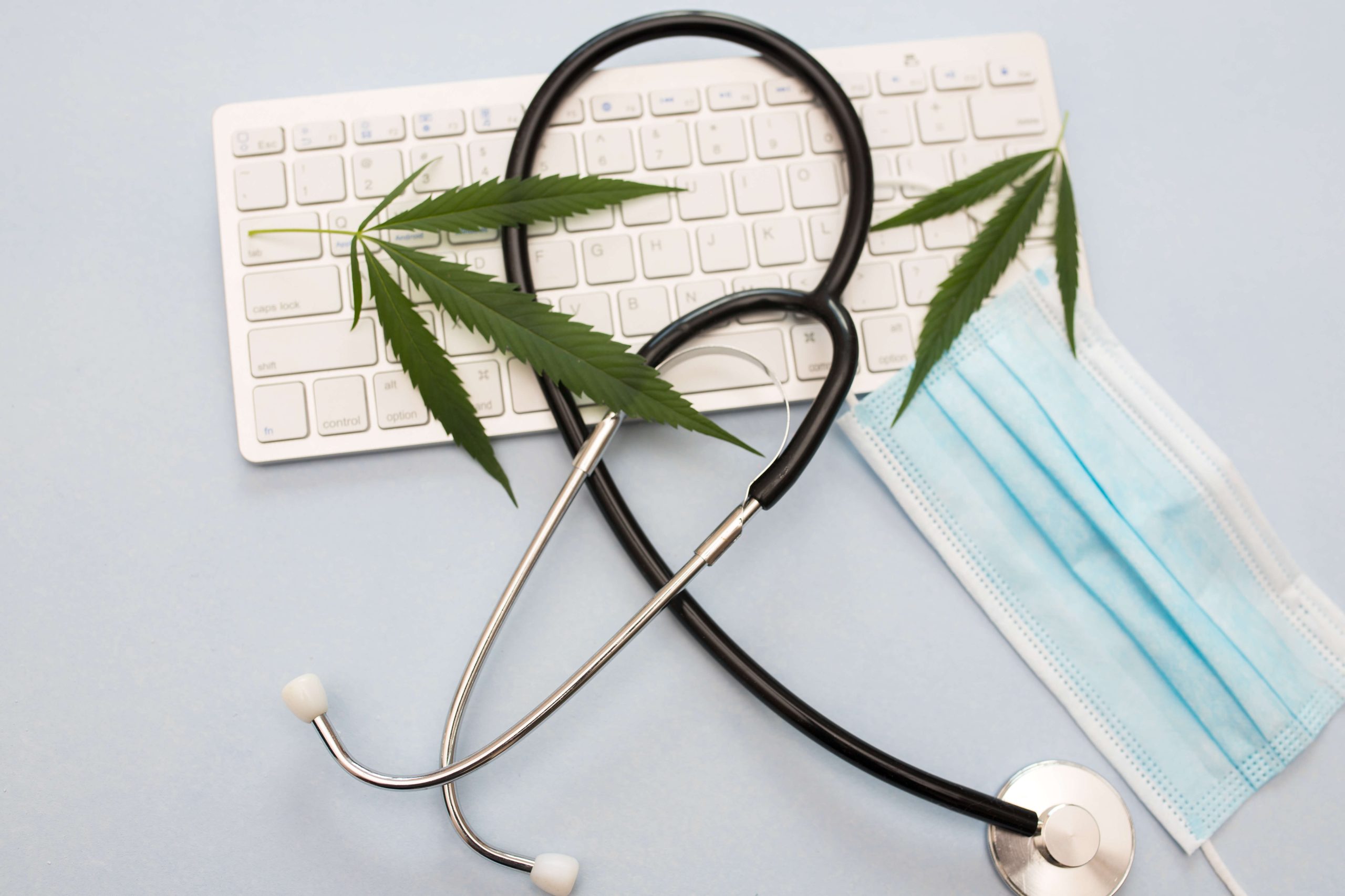 Supplying Medicinal Cannabis and CBD Oil In NZ Through COVID 19