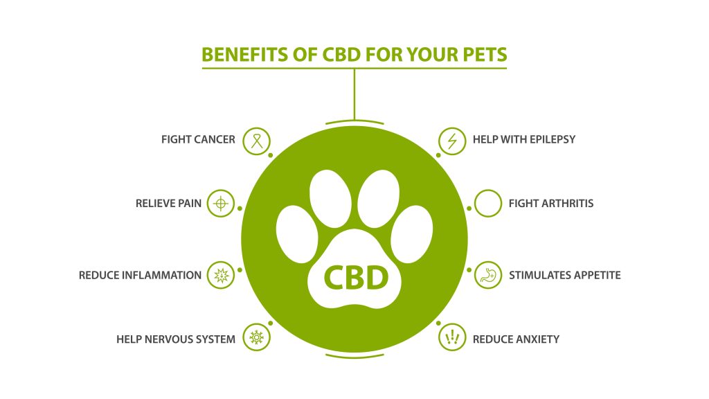 cbd oil for pets