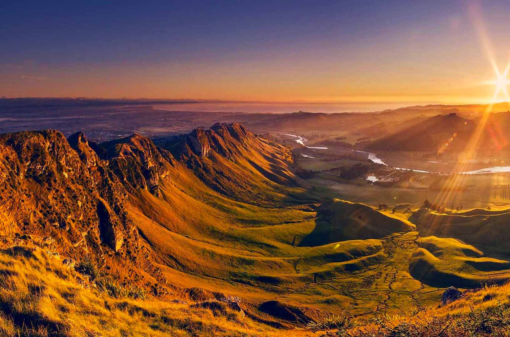 CBD oil Hawke's Bay