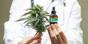 CBD May Enhance Effects of THC